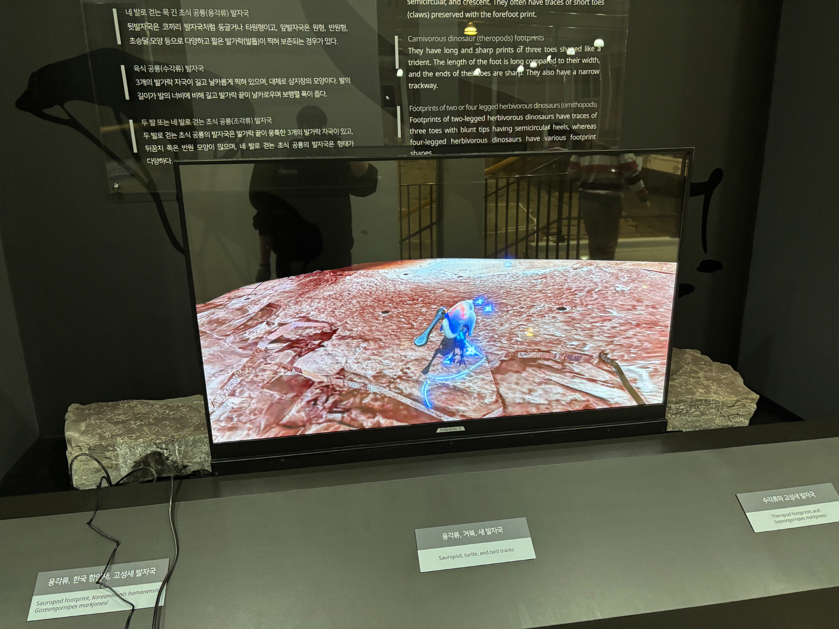 경남교육청 과학교육관 투명OLED-01