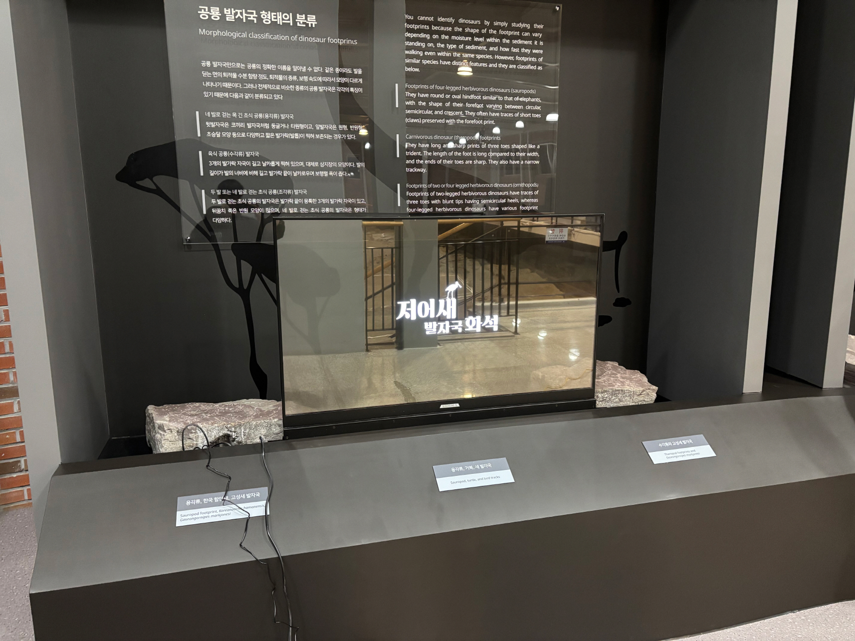 경남교육청 과학교육관 투명OLED-02