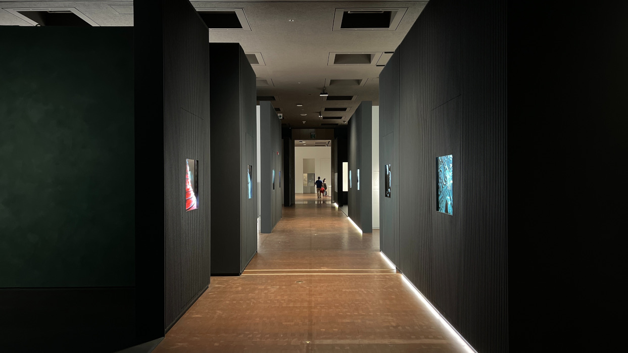 투명OLED디스플레이